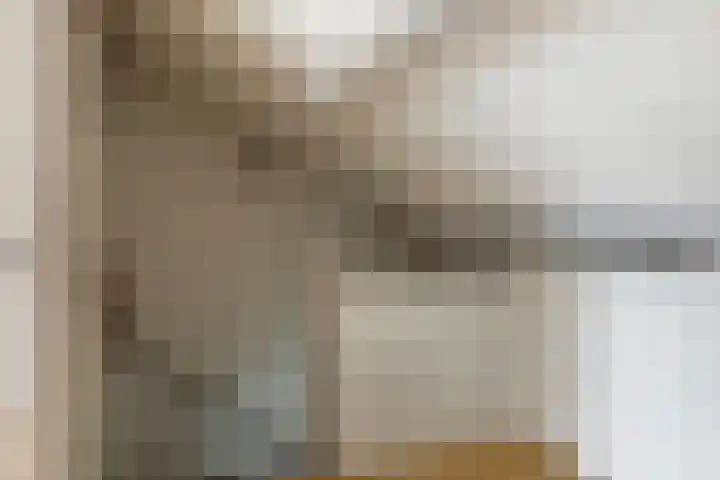 Ter Hofstadlaan 29 Someren thumbnail 22