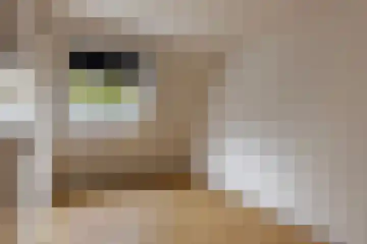Ter Hofstadlaan 29 Someren thumbnail 23
