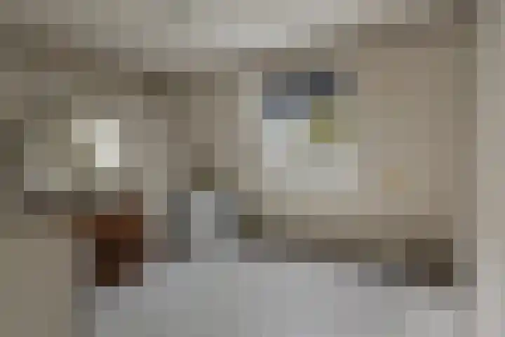 Ter Hofstadlaan 29 Someren thumbnail 24