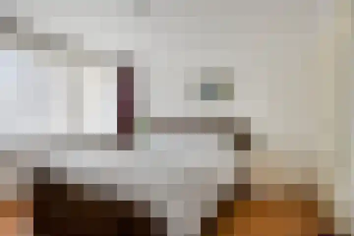 Ter Hofstadlaan 35 Someren thumbnail 14