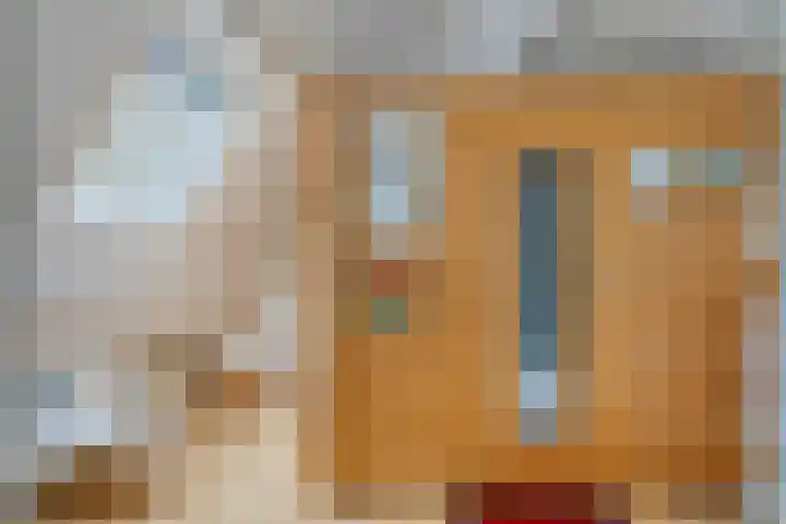 Ter Hofstadlaan 35 Someren thumbnail 20