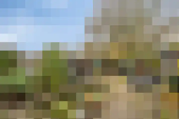 Ter Hofstadlaan 35 Someren thumbnail 25
