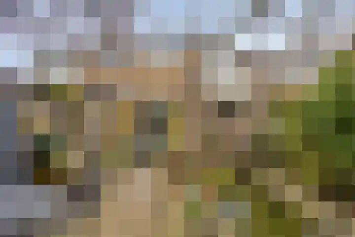 Ter Hofstadlaan 35 Someren thumbnail 26
