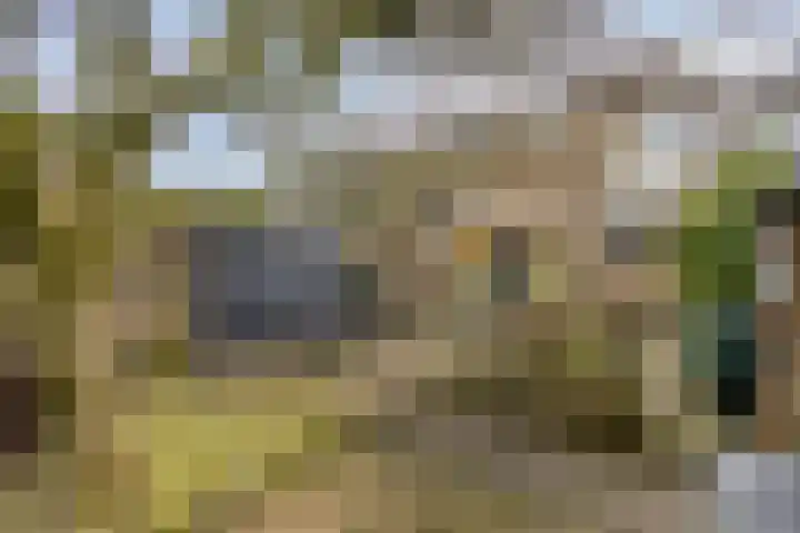 Ter Hofstadlaan 35 Someren thumbnail 27