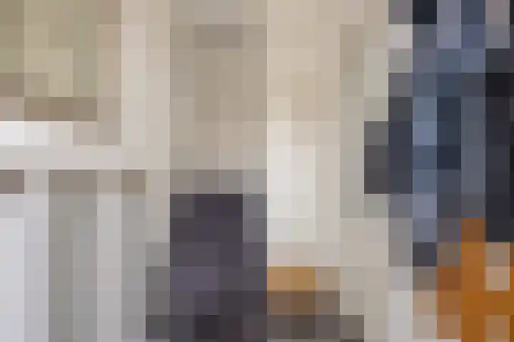 Ter Hofstadlaan 9 Someren thumbnail 11