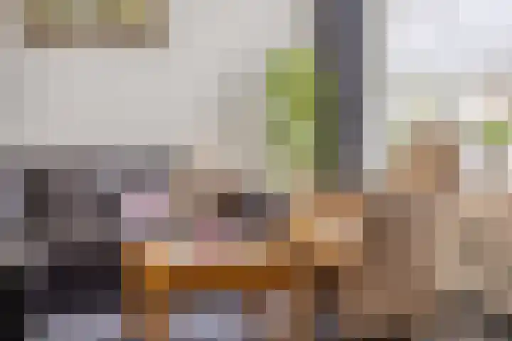 Ter Hofstadlaan 9 Someren thumbnail 14