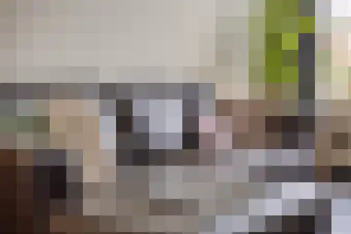 Ter Hofstadlaan 9 Someren thumbnail 16