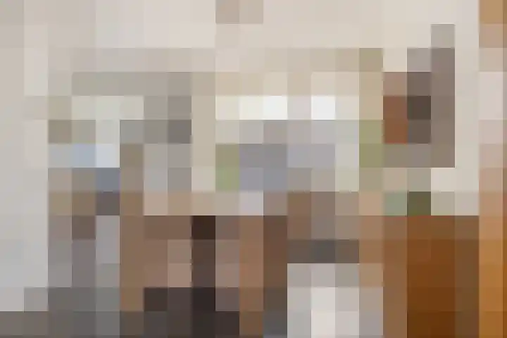 Ter Hofstadlaan 9 Someren thumbnail 18
