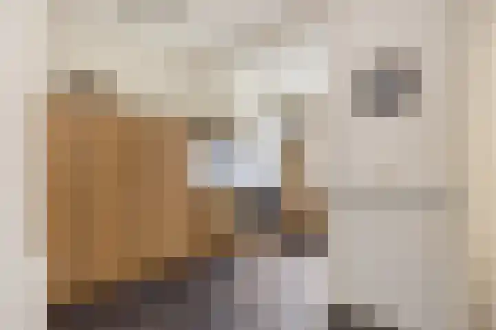 Ter Hofstadlaan 9 Someren thumbnail 20