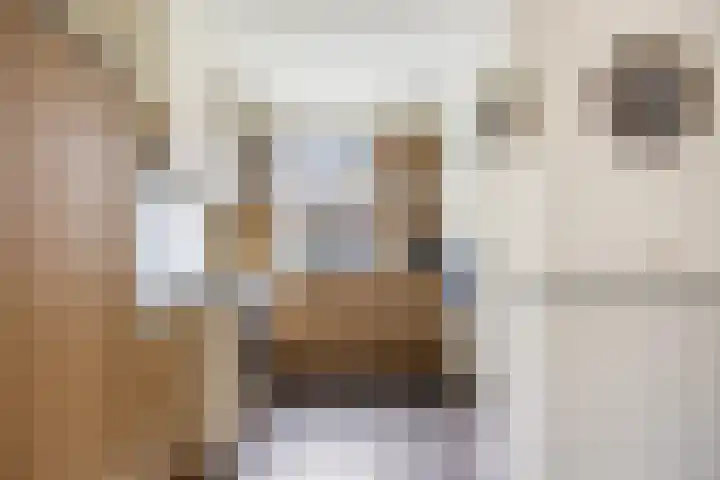 Ter Hofstadlaan 9 Someren thumbnail 21