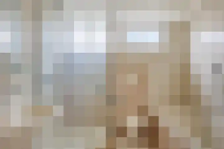 Ter Hofstadlaan 9 Someren thumbnail 29