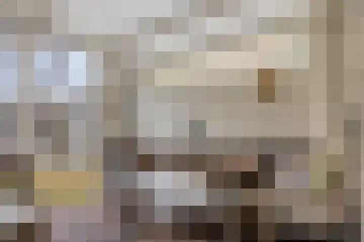 Ter Hofstadlaan 9 Someren thumbnail 35