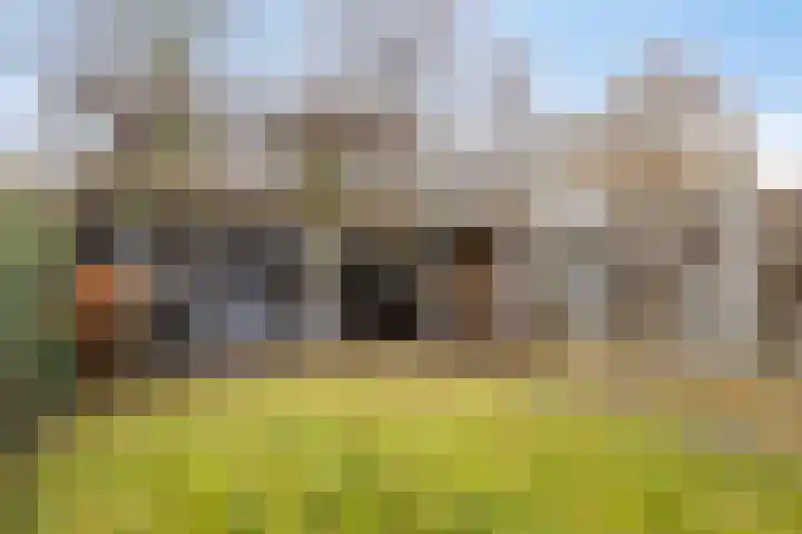 Ter Hofstadlaan 9 Someren thumbnail 37