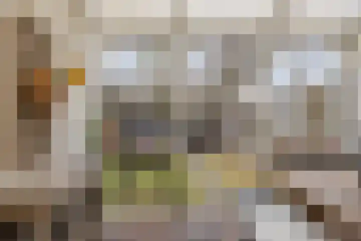 Ter Hofstadlaan 9 Someren thumbnail 4