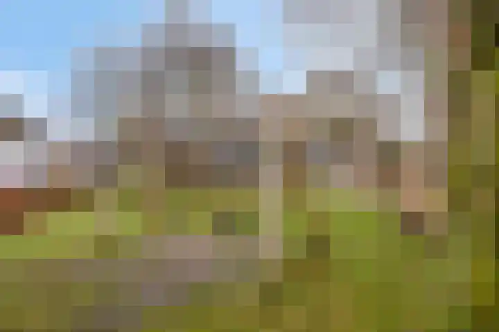 Ter Hofstadlaan 9 Someren thumbnail 41