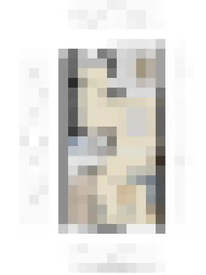 Ter Hofstadlaan 9 Someren thumbnail 42