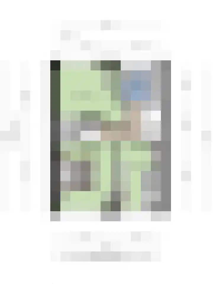 Ter Hofstadlaan 9 Someren thumbnail 43