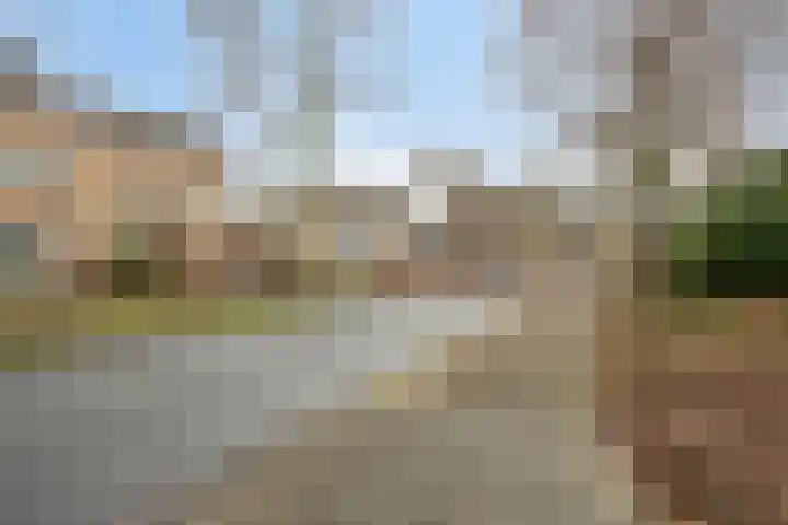 Ter Hofstadlaan 9 Someren thumbnail 7