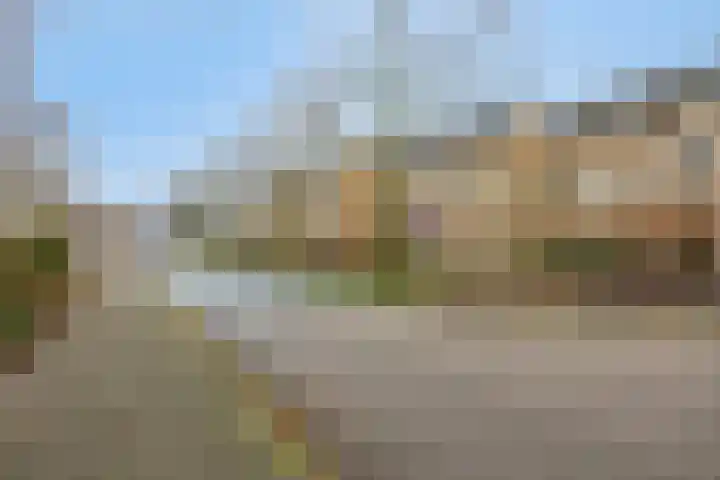 Ter Hofstadlaan 9 Someren thumbnail 8