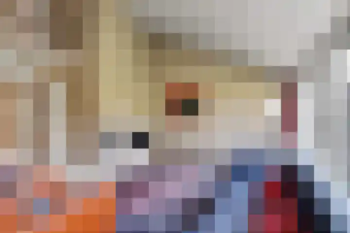 Ter Hooge 25 Almelo thumbnail 10