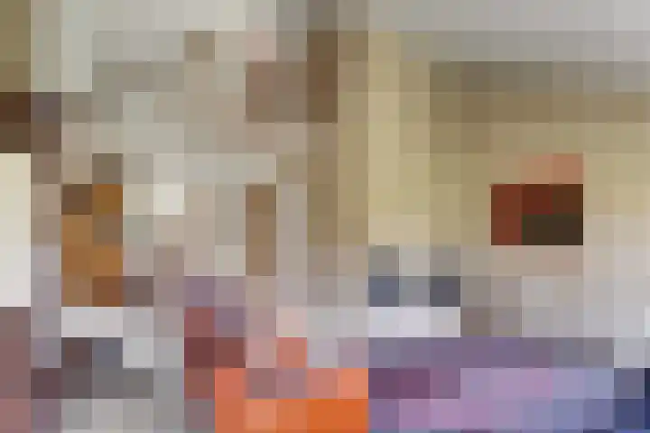Ter Hooge 25 Almelo thumbnail 11