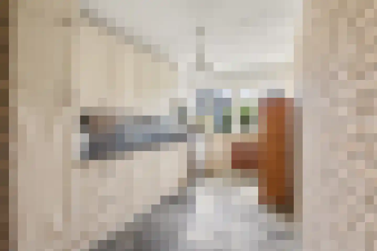 Ter Hooge 25 Almelo thumbnail 16