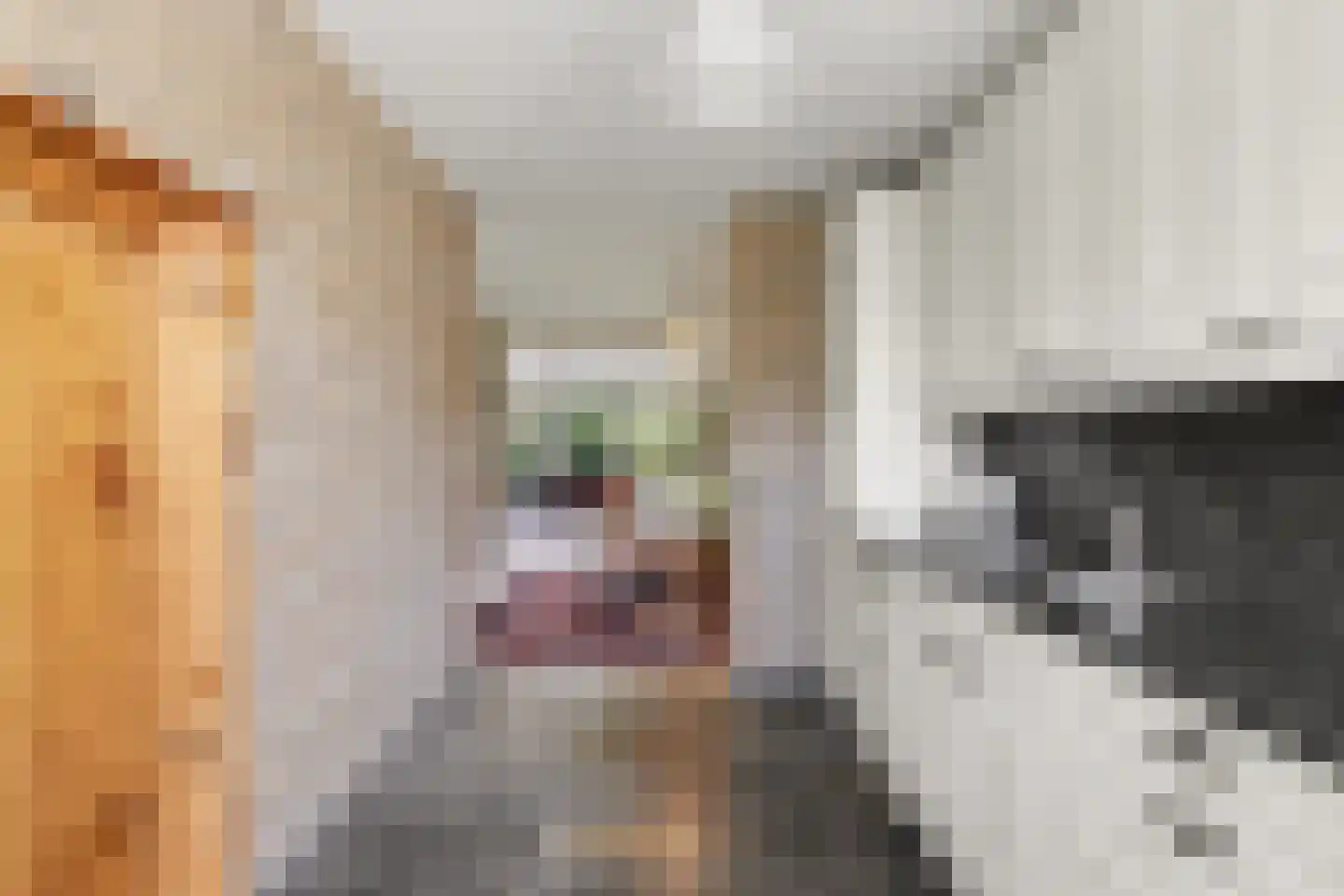 Ter Hooge 25 Almelo thumbnail 17