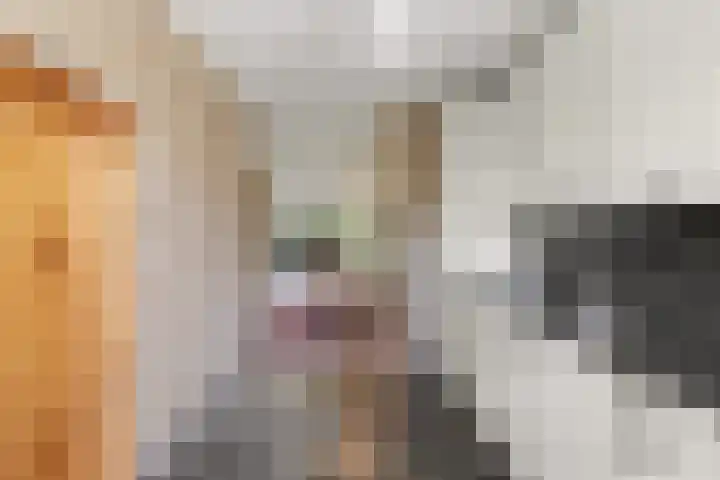 Ter Hooge 25 Almelo thumbnail 17