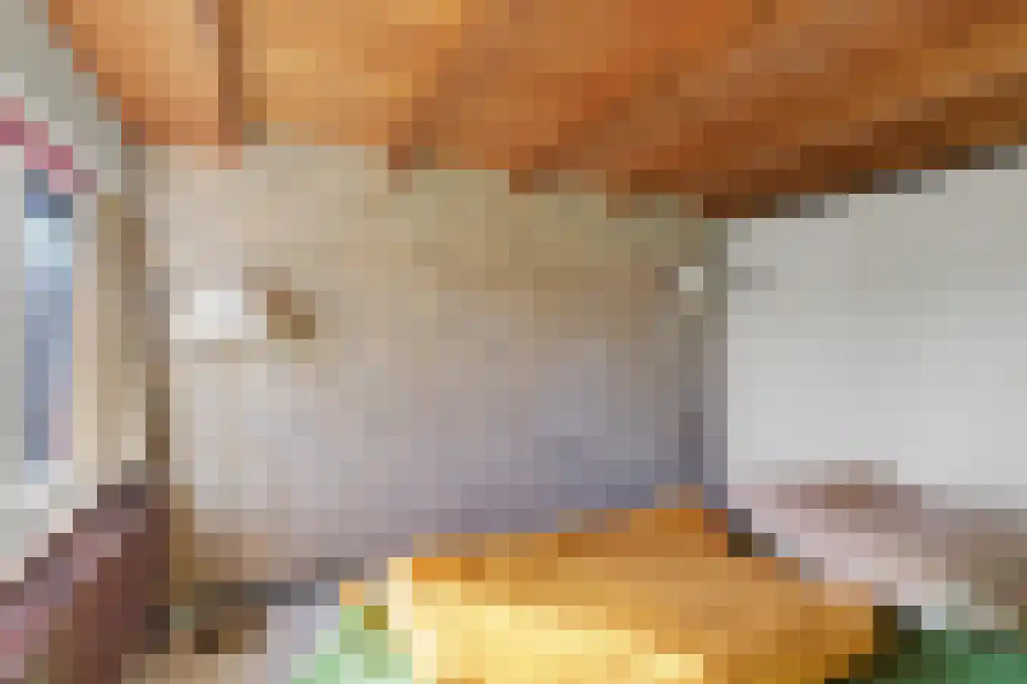 Ter Hooge 25 Almelo thumbnail 23