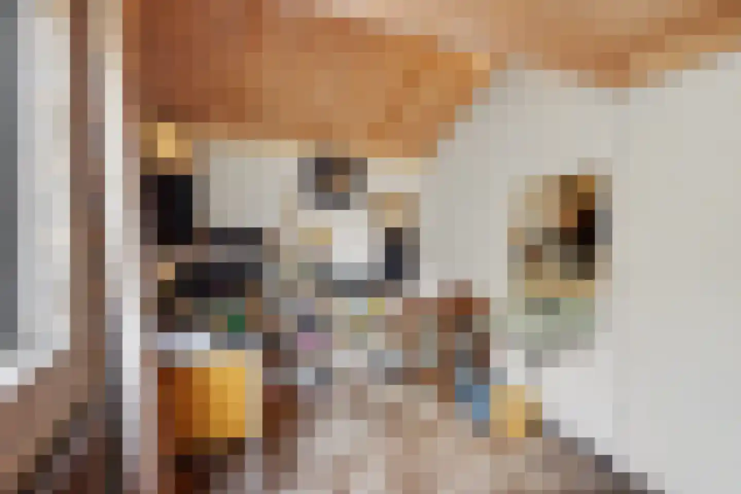 Ter Hooge 25 Almelo thumbnail 28