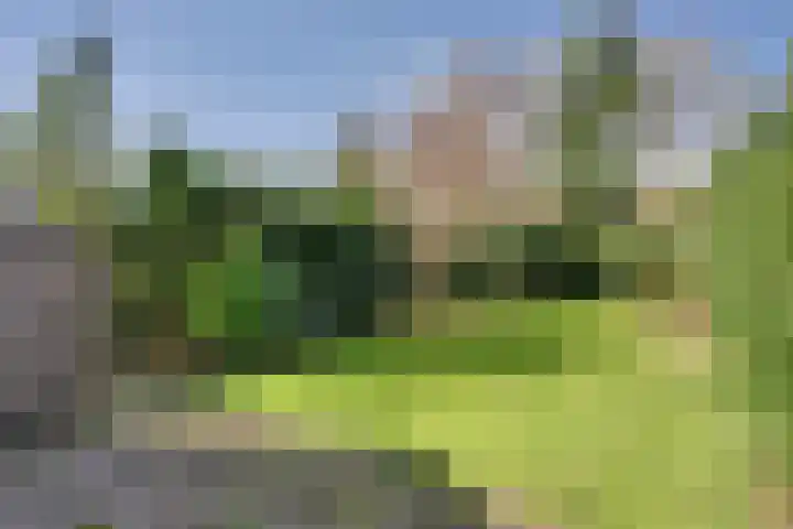 Ter Hooge 25 Almelo thumbnail 33