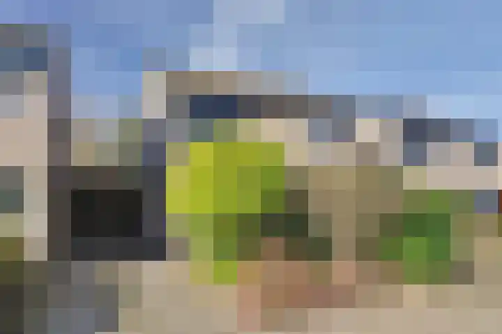 Ter Hooge 25 Almelo thumbnail 35