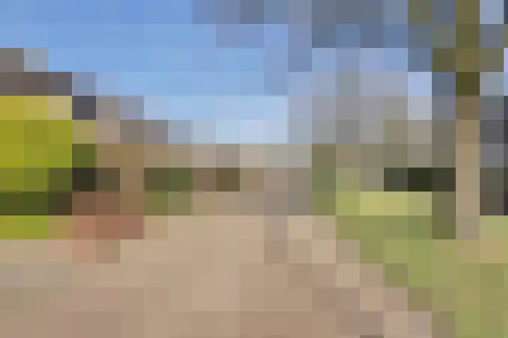Ter Hooge 25 Almelo thumbnail 36