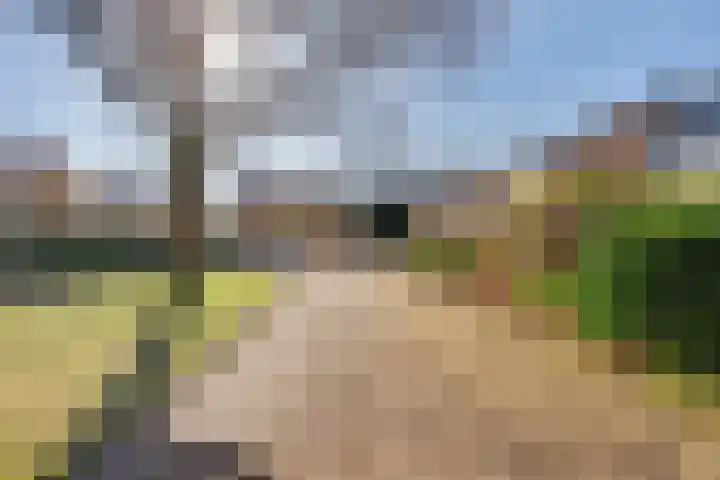 Ter Hooge 25 Almelo thumbnail 37