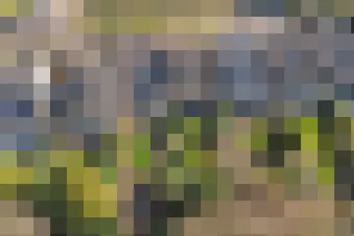 Ter Hooge 25 Almelo thumbnail 38