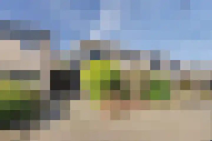 Ter Hooge 25 Almelo thumbnail 4
