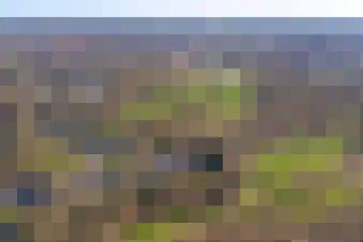Ter Hooge 25 Almelo thumbnail 40