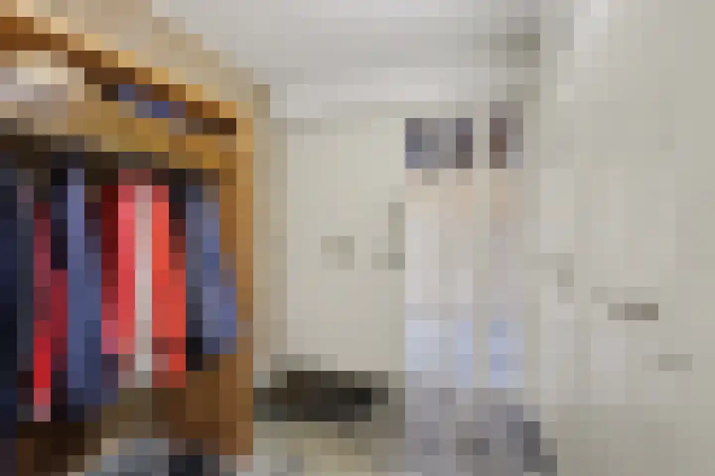 Ter Hooge 25 Almelo thumbnail 6
