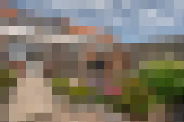 Ter Hoogestraat 5 Middelburg thumbnail 20