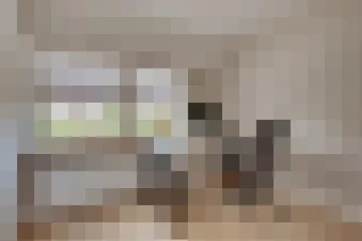Ter Hoogestraat 5 Middelburg thumbnail 35