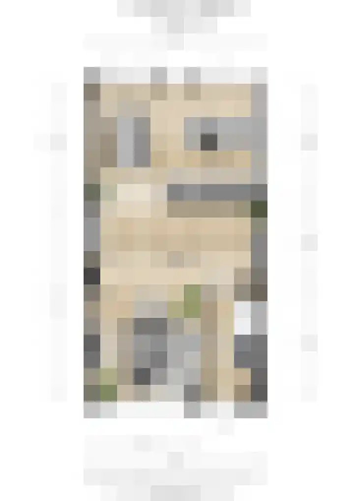 Ter Hoogestraat 5 Middelburg thumbnail 38