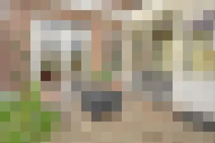 Ter Hoogestraat 7 Middelburg thumbnail 24