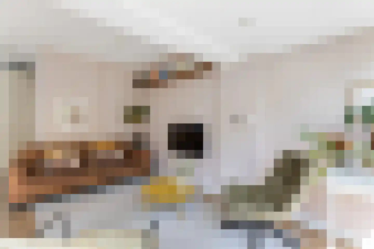 Ter Hulstraat 14 Bunnik thumbnail 14