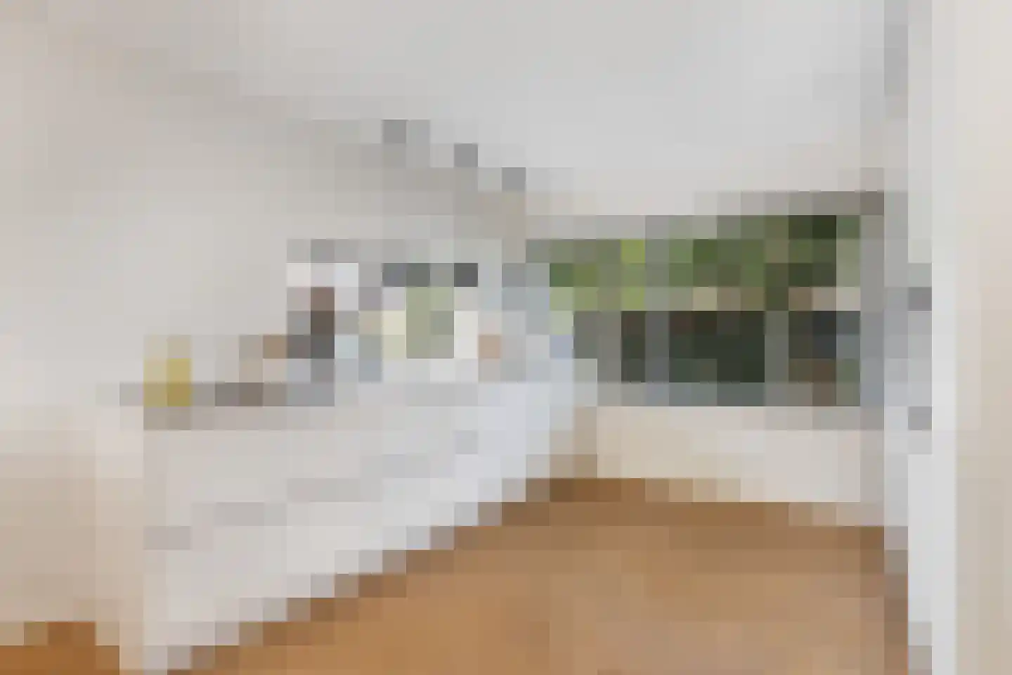Ter Hulstraat 14 Bunnik thumbnail 19