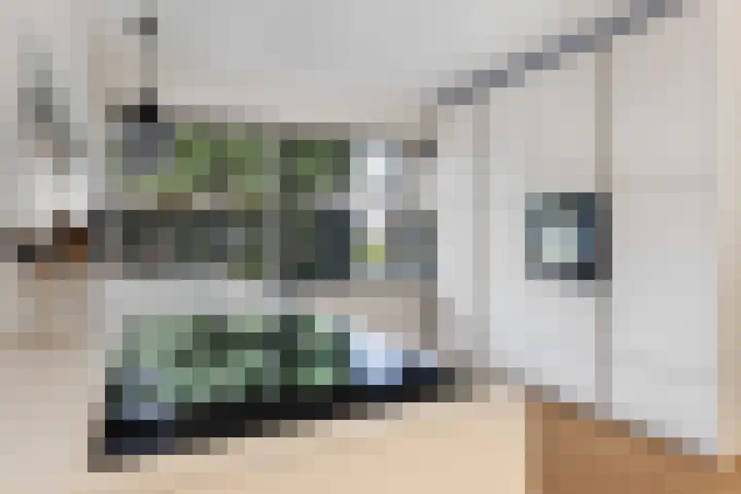 Ter Hulstraat 14 Bunnik thumbnail 20
