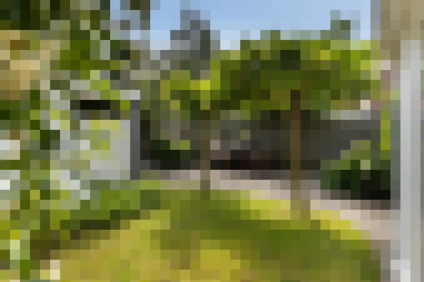 Ter Hulstraat 14 Bunnik thumbnail 26