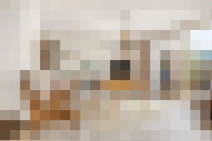 Ter Hulstraat 9 Bunnik thumbnail 17