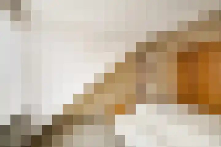 Ter Hulstraat 9 Bunnik thumbnail 30