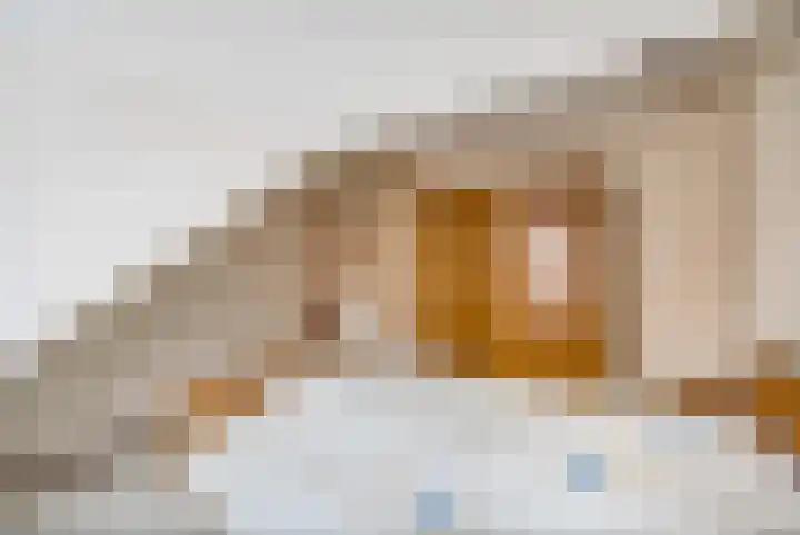 Ter Hulstraat 9 Bunnik thumbnail 31