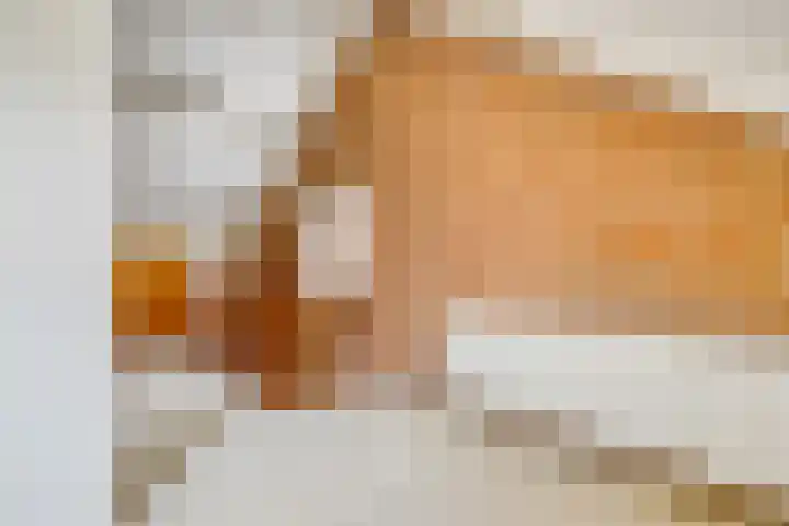 Ter Hulstraat 9 Bunnik thumbnail 32